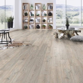 Дуб Колорадо 5543